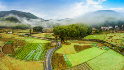 北林垟田园云雾美景组图2