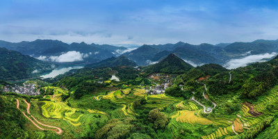 金色潘庄美景组图2