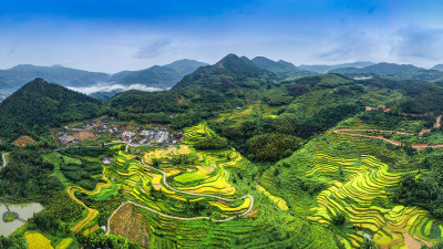 金色潘庄美景组图3
