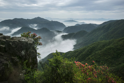 《笔架杜鹃红》组照之三