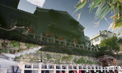 雾里看花(组照四）