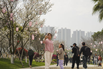 “樱”开而来