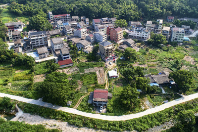 《山道弯弯致富路》组照3