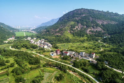 《山道弯弯致富路》组照4