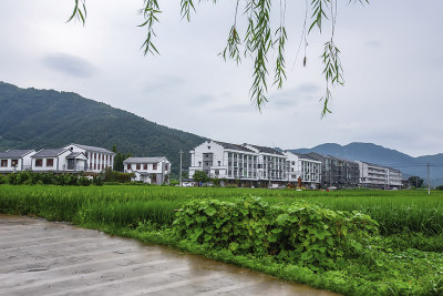 《美丽新农村——东岙村掠影》组照二