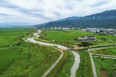 《田园画卷—俯瞰东岙村》组照三