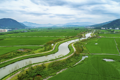 《田园画卷—俯瞰东岙村》组照四