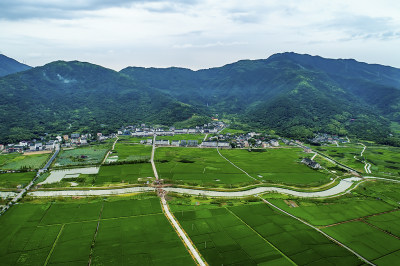 《田园画卷—俯瞰东岙村》组照五