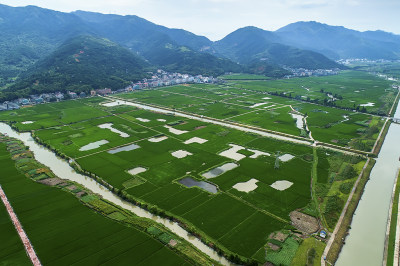 《俯瞰天井垟》组照三