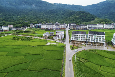 《田园画卷—俯瞰东岙村》组照二
