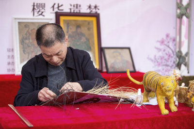 《樱花节掠影》组照之六