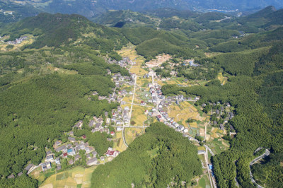 《山道弯弯便民路》组照6