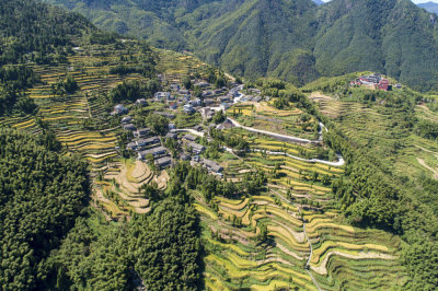 《山道弯弯便民路》组照2