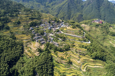 《山道弯弯便民路》组照4