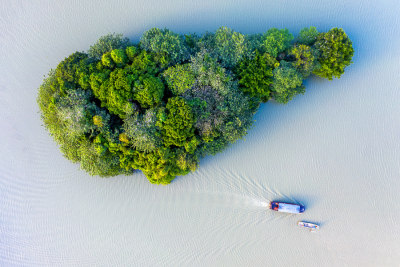 《湿地物语》组照之三