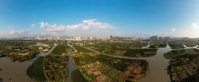 《俯瞰三垟湿地新貌》组照之四