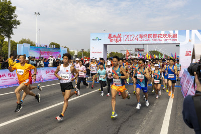 《又是一年樱花欢乐跑》组照3