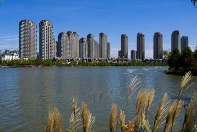 美丽清河水