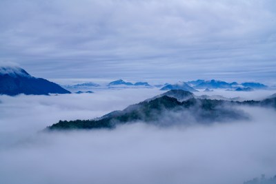 《人间天上》