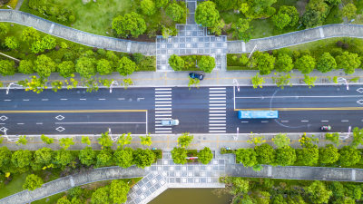 组图5