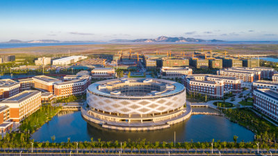 组图3