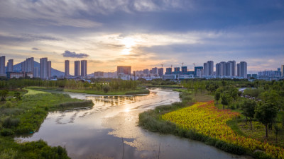 组图3