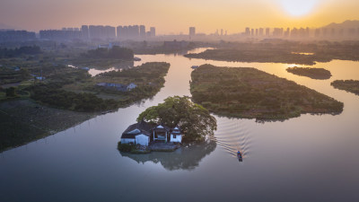 组图6