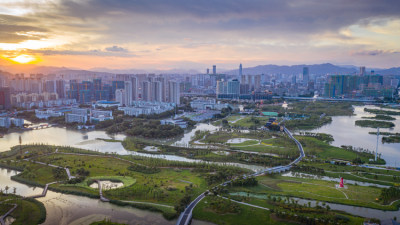 组图5