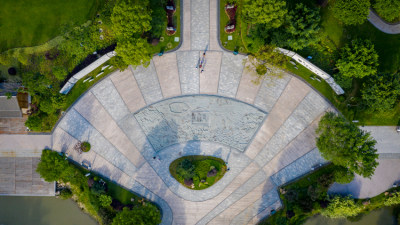 组图4