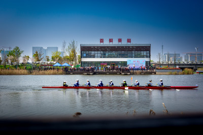 组图5