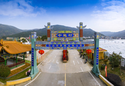 绿色农村苍南中魁村