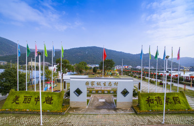 绿色农村苍南中魁村