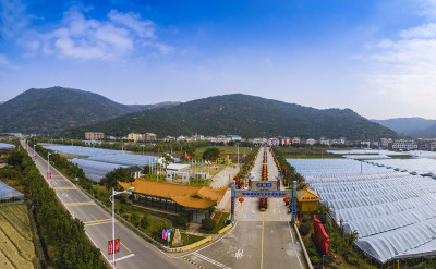 绿色农村苍南中魁村
