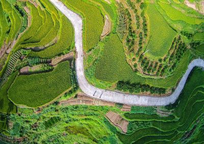 《金色致富路》组图