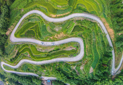 《金色致富路》组图