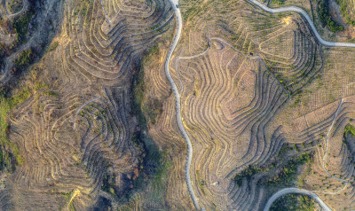 云岭山茶油基地风采组图4