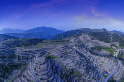 云岭山茶油基地风采组图1