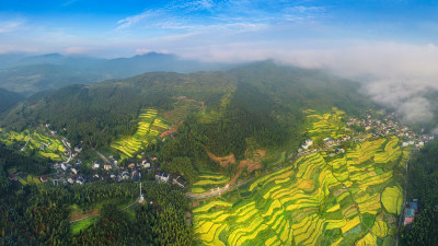 远眺金色布袋垟村风采组图6