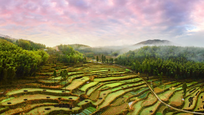 泽雅晨雾组图3