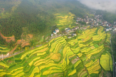 远眺金色布袋垟村风采组图3