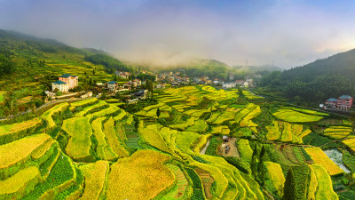 远眺金色布袋垟村风采组图5