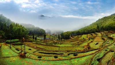 泽雅晨雾组图4