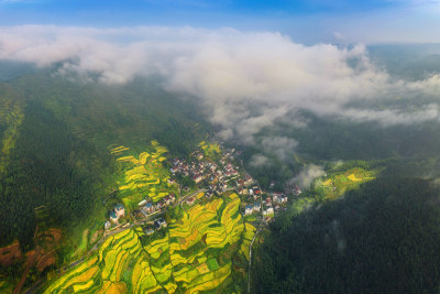 远眺金色布袋垟村风采组图2