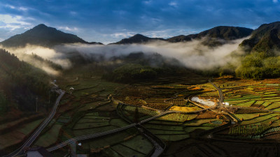 北林垟金色田园美景6