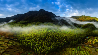 北林垟金色田园美景3