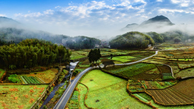 北林垟金色田园美景2