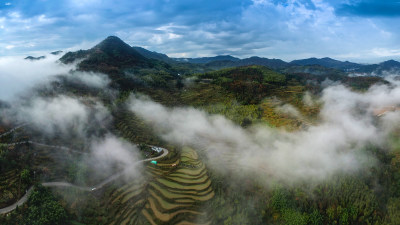 潘庄金色田园云雾美景组图2