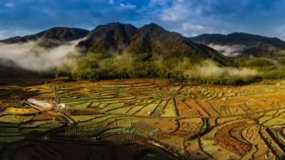 北林垟金色田园美景5