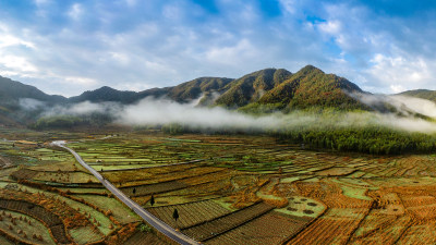 北林垟金色田园美景4