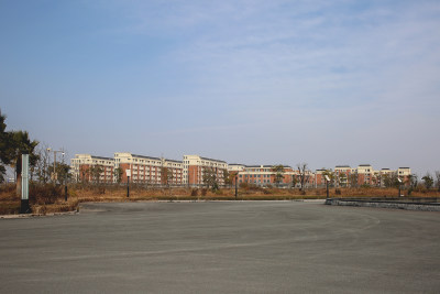 《瓯江口新区在飞跃》组照5